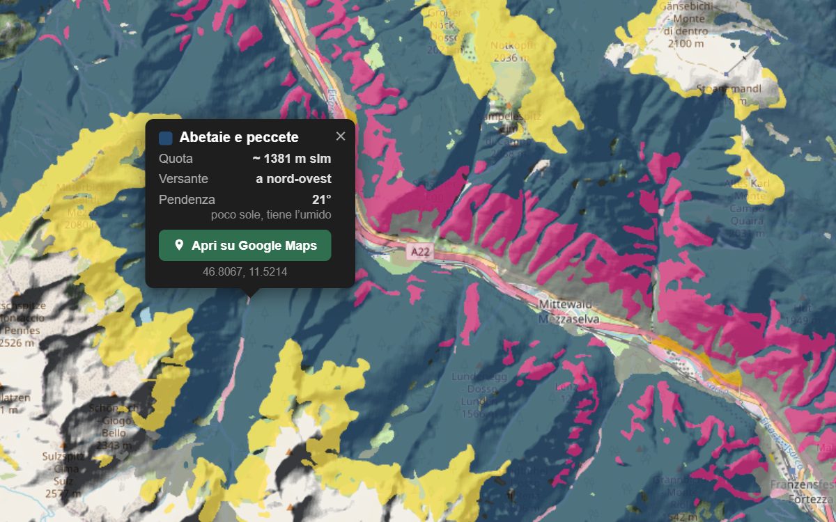 La mappa forestale dell'Alto Adige da vicino: i boschi colorati per tipo sopra il rilievo, con la nuvoletta di un bosco