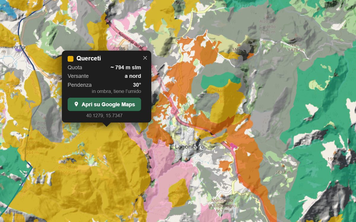 La mappa forestale della Basilicata da vicino: i boschi colorati per tipo sopra il rilievo, con la nuvoletta di un bosco