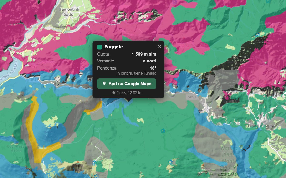 La mappa forestale del Friuli Venezia Giulia da vicino: i boschi colorati per tipo sopra il rilievo, con la nuvoletta di un bosco