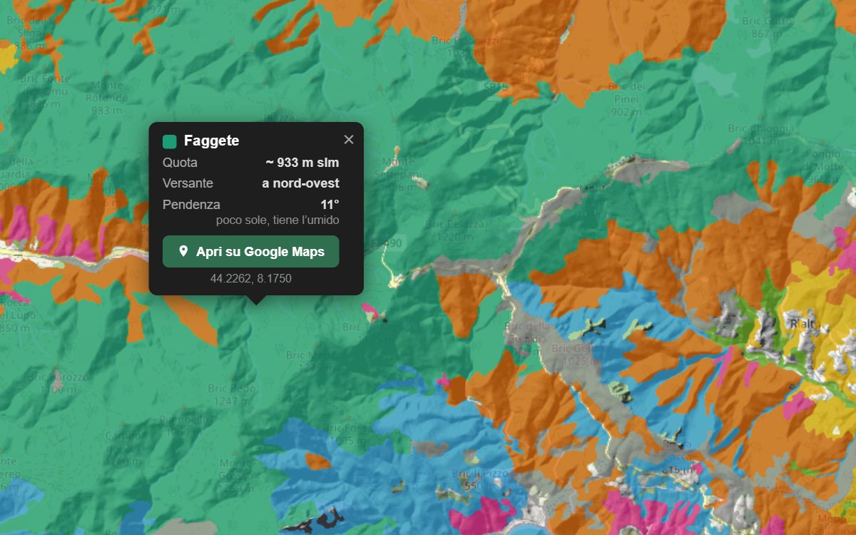 La mappa forestale della Liguria da vicino: i boschi colorati per tipo sopra il rilievo, con la nuvoletta di un bosco