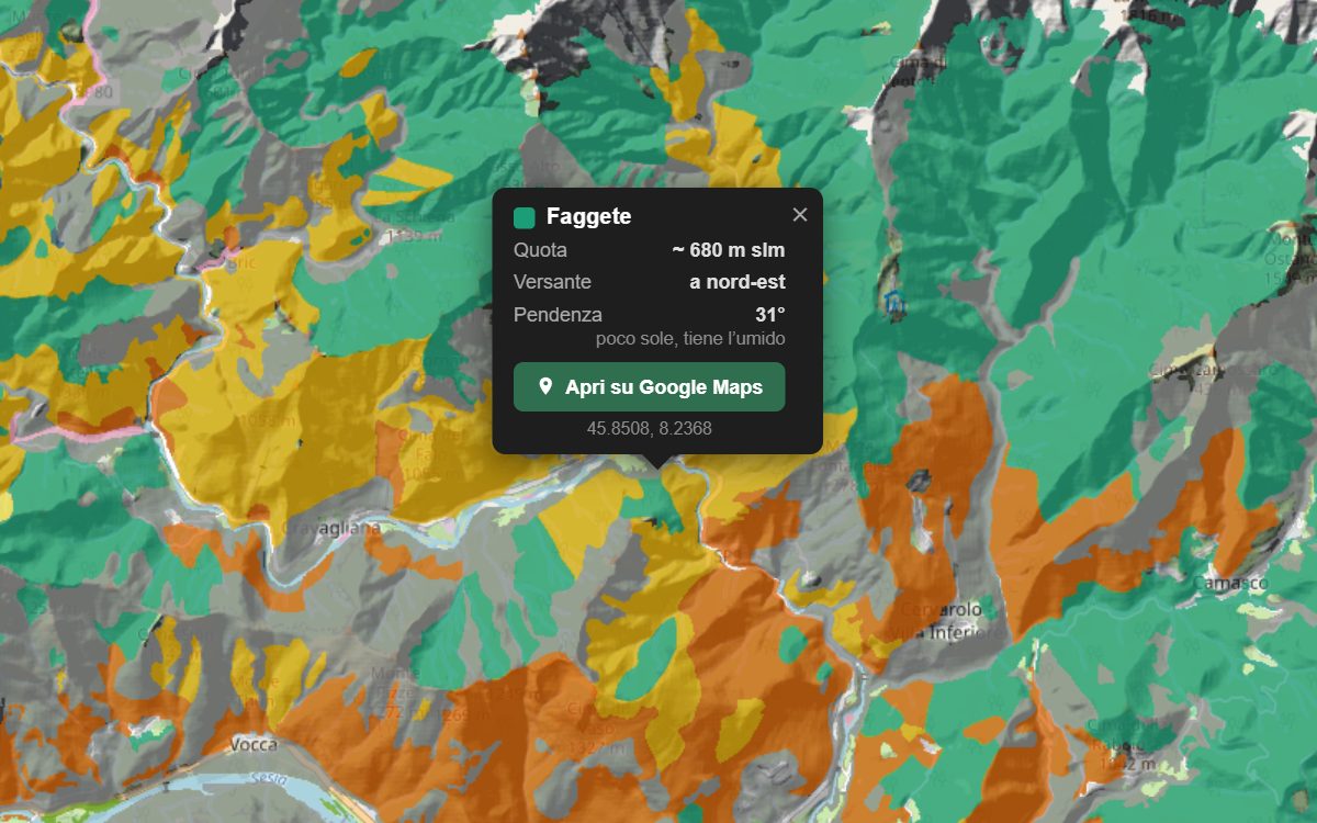 La mappa forestale del Piemonte da vicino: i boschi colorati per tipo sopra il rilievo, con la nuvoletta di un bosco