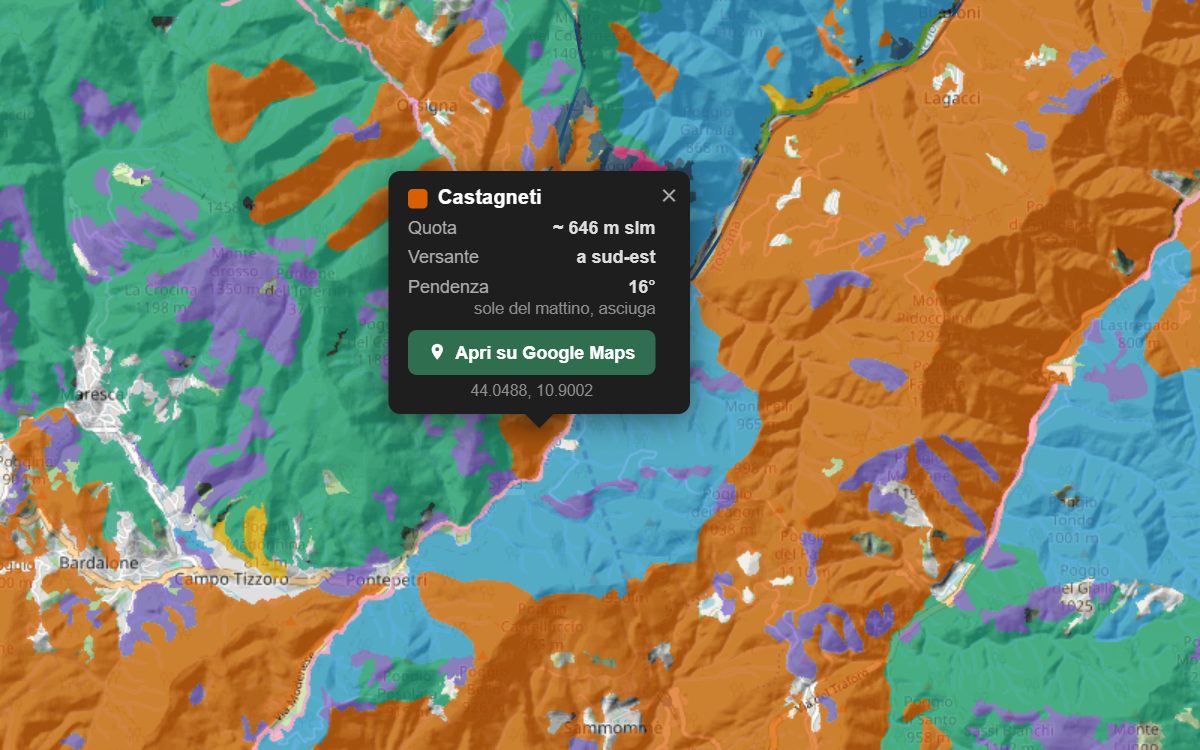 La mappa forestale della Toscana da vicino: i boschi colorati per tipo sopra il rilievo, con la nuvoletta di un bosco
