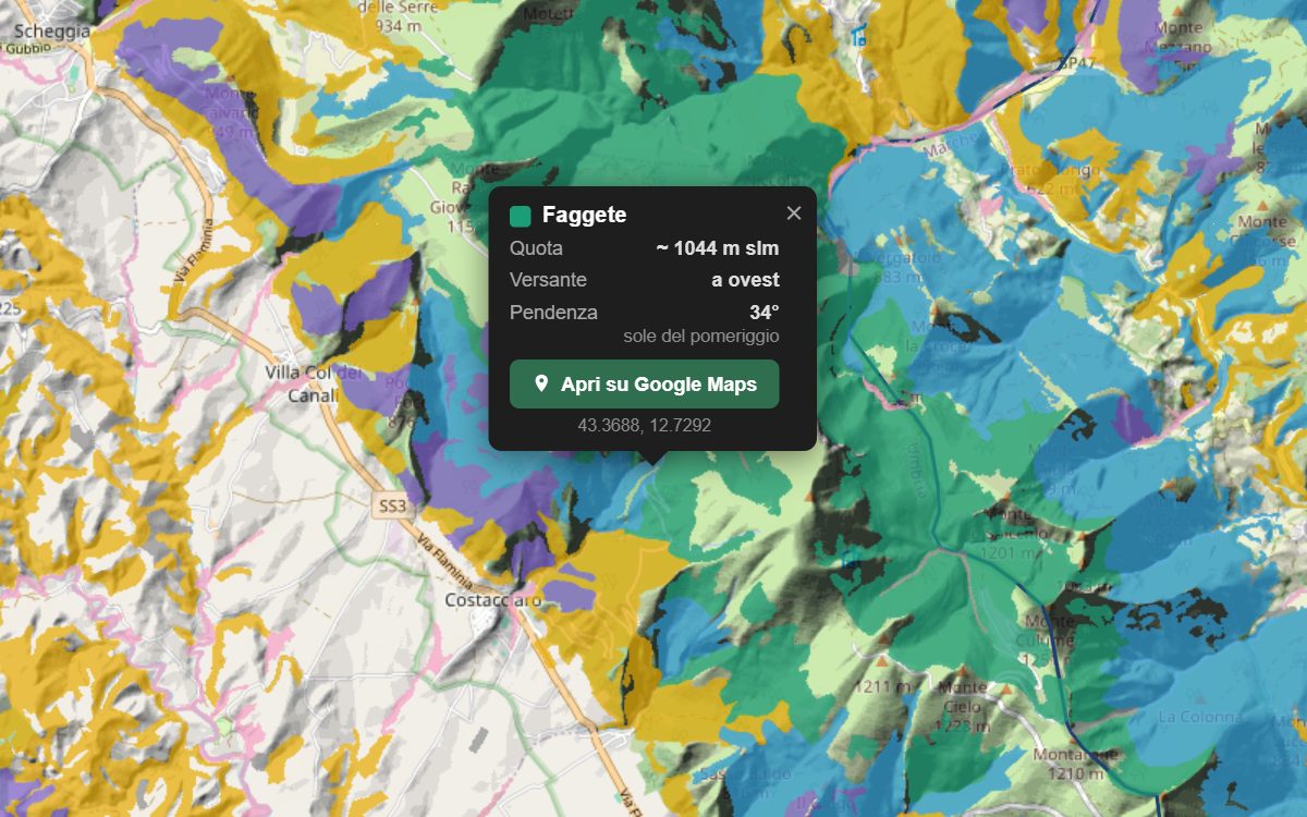 La mappa forestale dell'Umbria da vicino: i boschi colorati per tipo sopra il rilievo, con la nuvoletta di un bosco