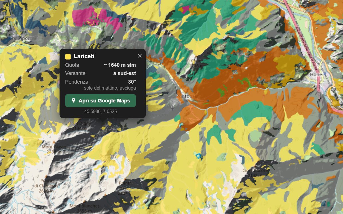 La mappa forestale della Valle d'Aosta da vicino: i boschi colorati per tipo sopra il rilievo, con la nuvoletta di un bosco