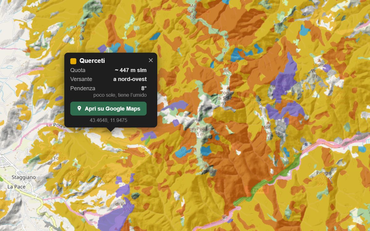 La mappa forestale dell'Alpe di Poti da vicino, con la nuvoletta di un bosco