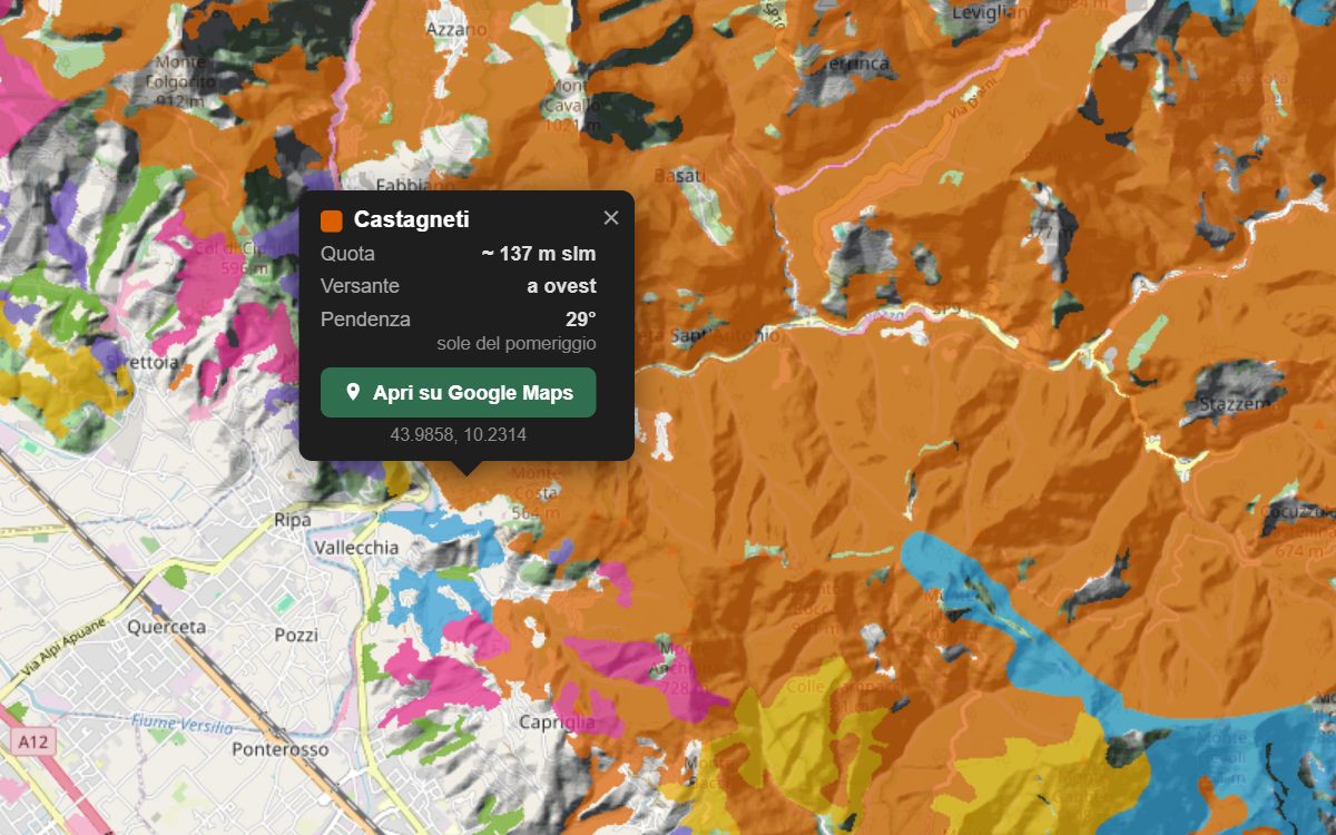 La mappa forestale delle Alpi Apuane da vicino, con la nuvoletta di un bosco