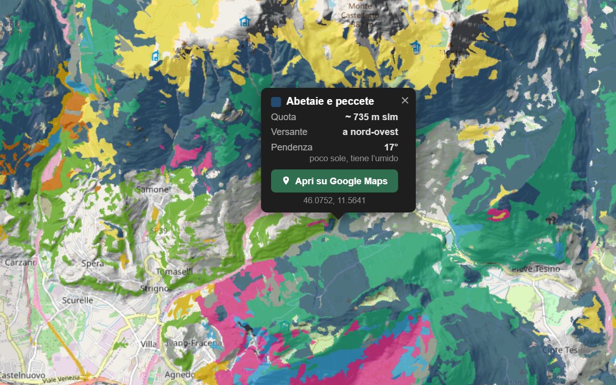 La mappa forestale dell'Altopiano del Tesino da vicino, con la nuvoletta di un bosco