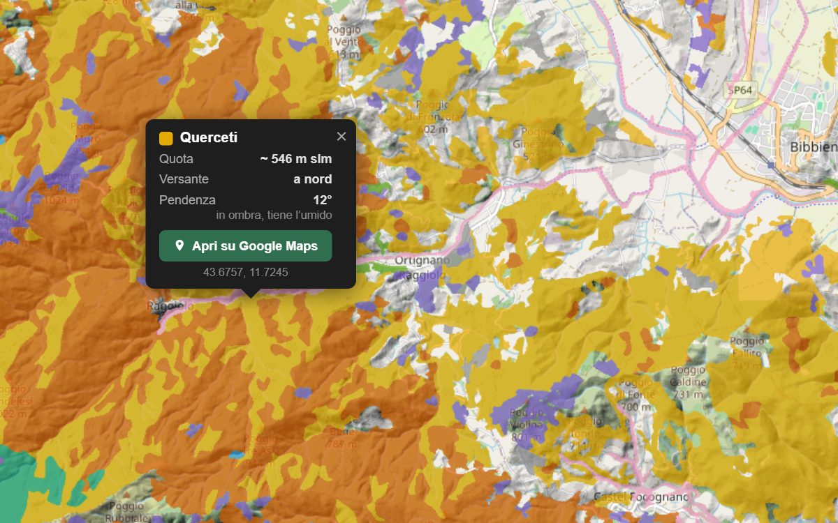 La mappa forestale del Casentino da vicino, con la nuvoletta di un bosco