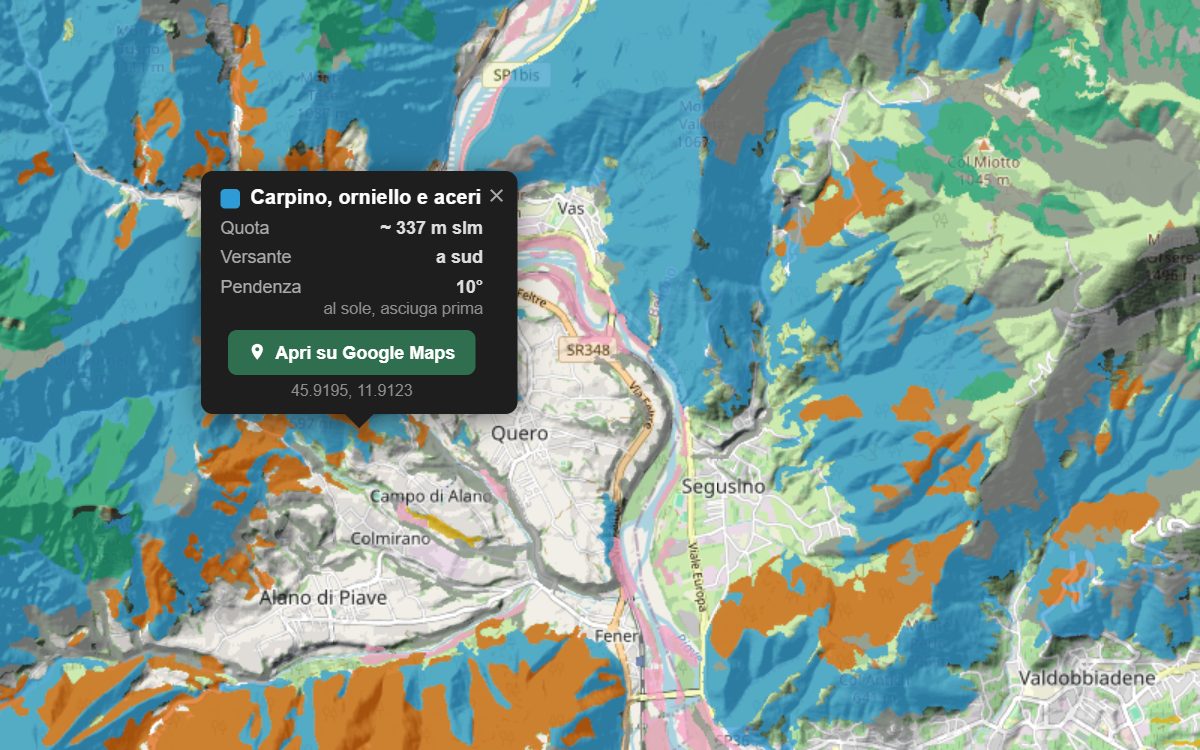 La mappa forestale dei Colli Asolani da vicino, con la nuvoletta di un bosco