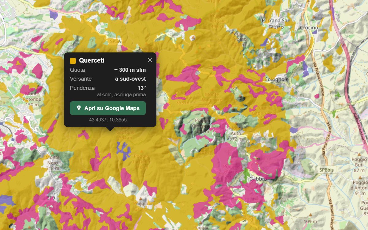 La mappa forestale delle Colline Livornesi da vicino, con la nuvoletta di un bosco