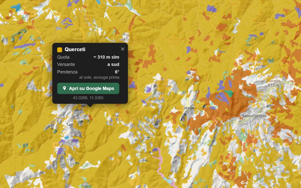 La mappa forestale delle Colline Metallifere grossetane da vicino, con la nuvoletta di un bosco