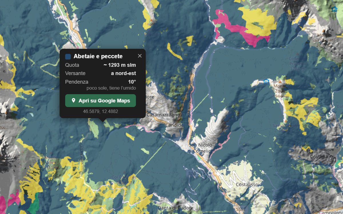 La mappa forestale del Comelico da vicino, con la nuvoletta di un bosco