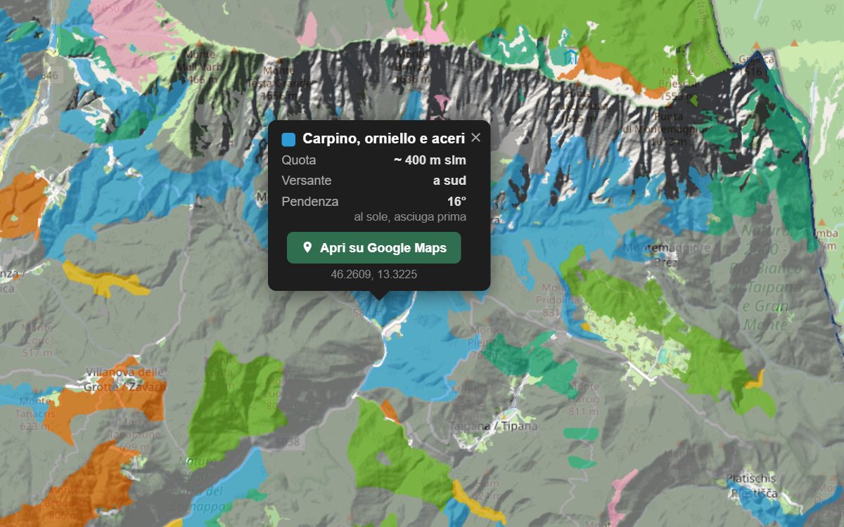 La mappa forestale del Gran Monte da vicino, con la nuvoletta di un bosco