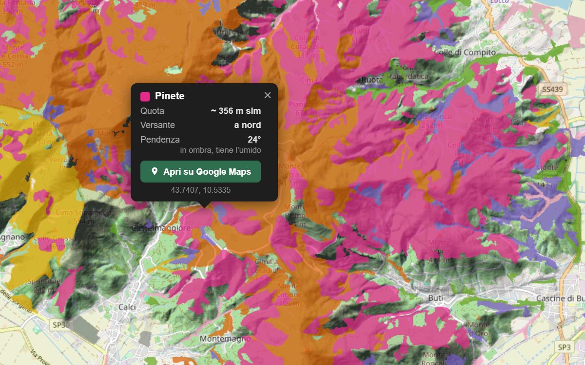 La mappa forestale del Monte Pisano da vicino, con la nuvoletta di un bosco