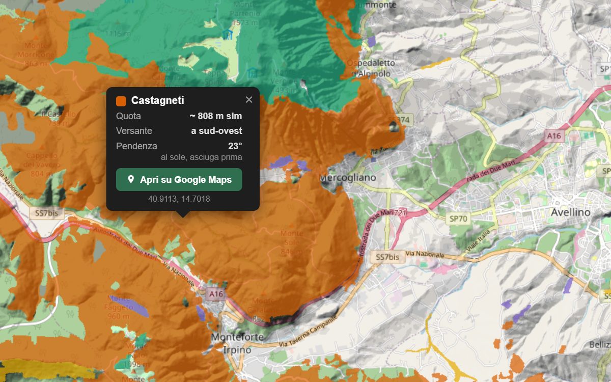 La mappa forestale dei Monti del Partenio da vicino, con la nuvoletta di un bosco