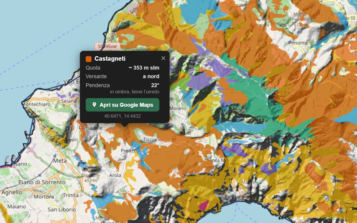 La mappa forestale dei Monti Lattari da vicino, con la nuvoletta di un bosco