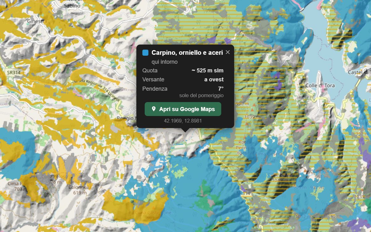La mappa forestale dei Monti Sabini da vicino, con la nuvoletta di un bosco