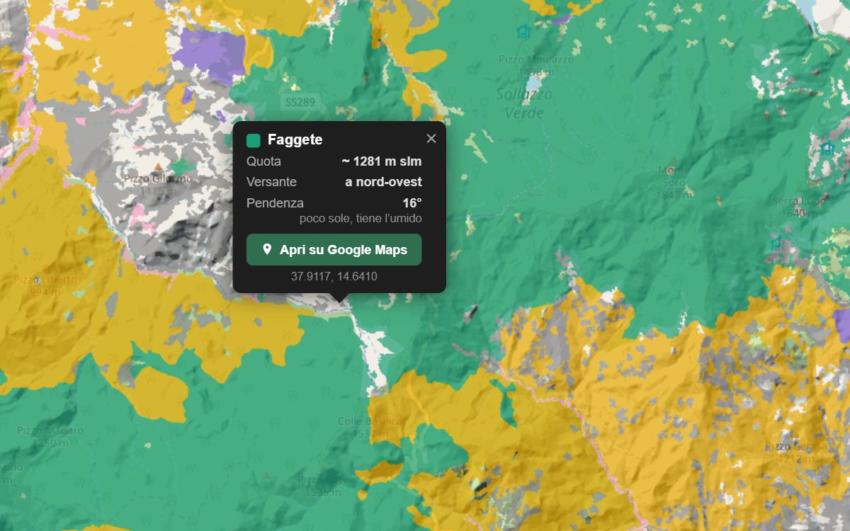 La mappa forestale dei Nebrodi da vicino, con la nuvoletta di un bosco