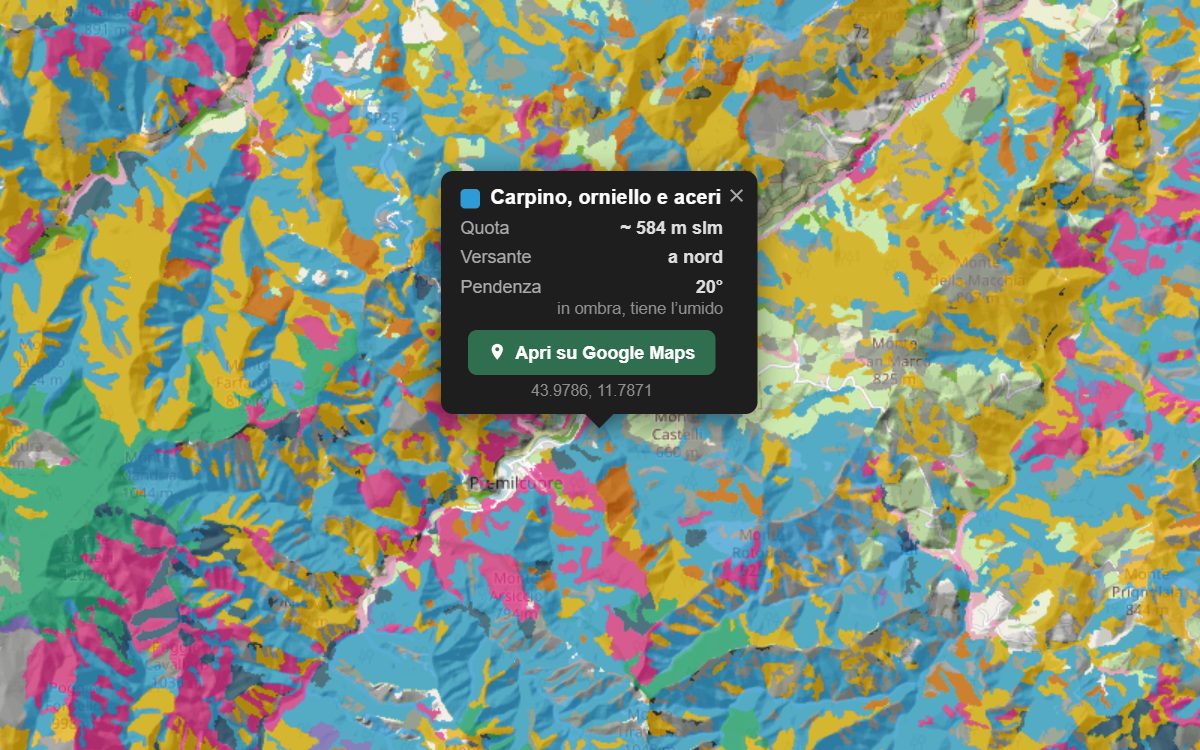 La mappa forestale della Romagna toscana da vicino, con la nuvoletta di un bosco
