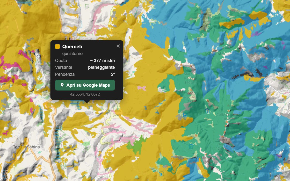 La mappa forestale della Sabina da vicino, con la nuvoletta di un bosco