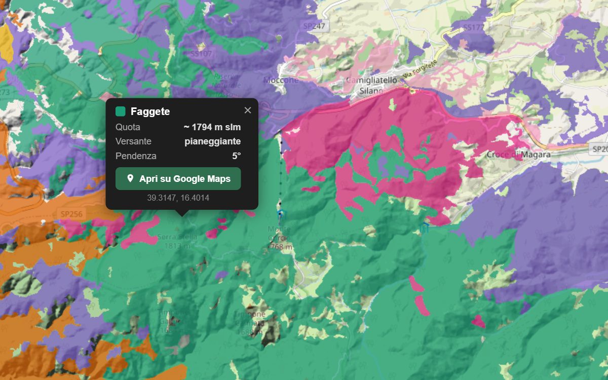 La mappa forestale della Sila Greca da vicino, con la nuvoletta di un bosco