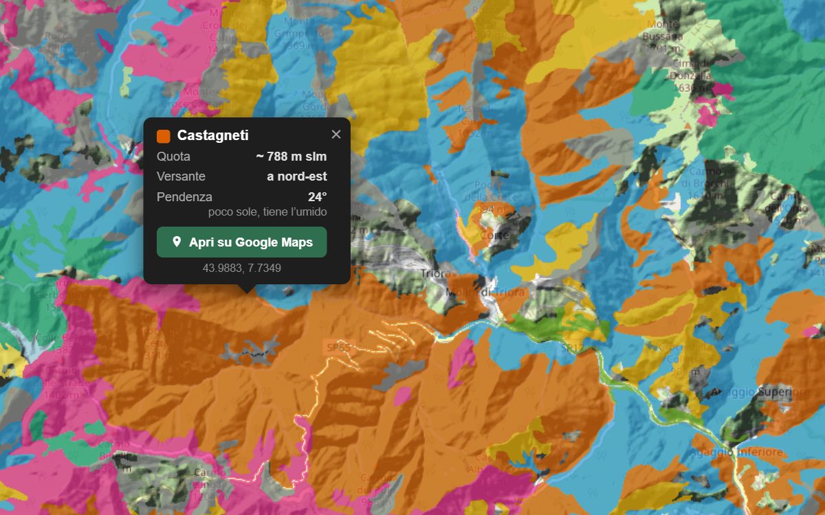 La mappa forestale della Terra brigasca da vicino, con la nuvoletta di un bosco