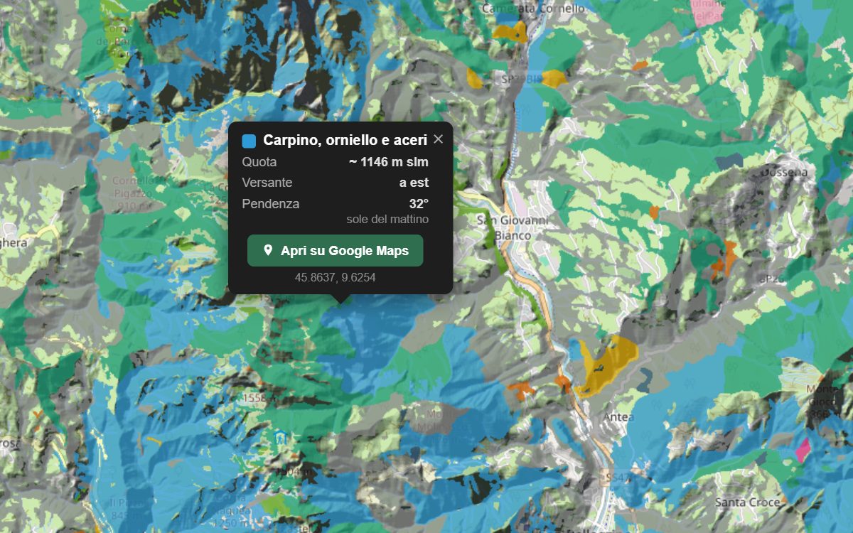 La mappa forestale della Val Brembana da vicino, con la nuvoletta di un bosco