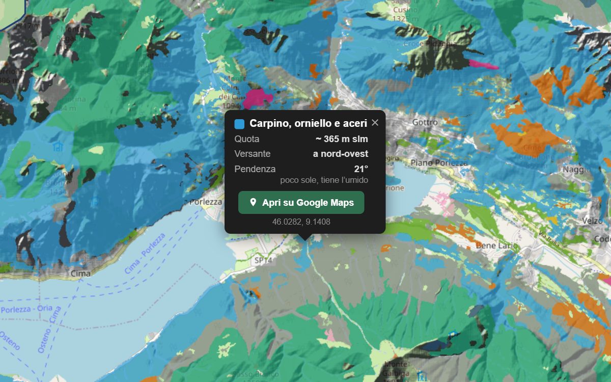La mappa forestale della Val Cavargna da vicino, con la nuvoletta di un bosco