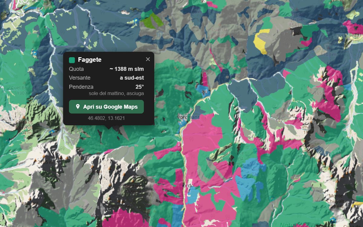 La mappa forestale della Val Chiarsò da vicino, con la nuvoletta di un bosco