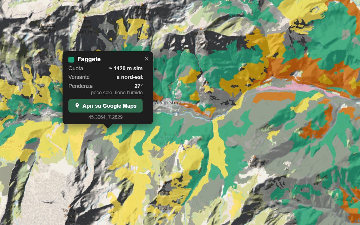 La mappa forestale della Val d'Ala da vicino, con la nuvoletta di un bosco