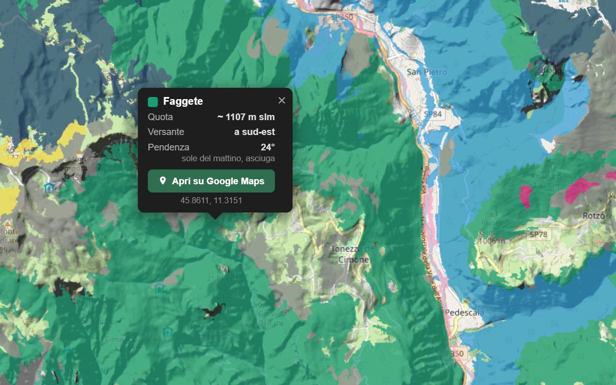 La mappa forestale della Val d'Astico da vicino, con la nuvoletta di un bosco