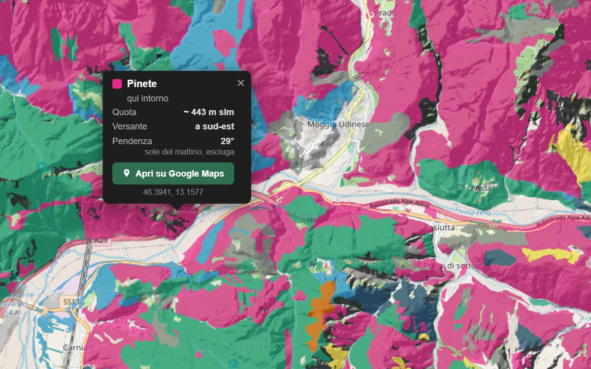 La mappa forestale della Val d'Aupa da vicino, con la nuvoletta di un bosco