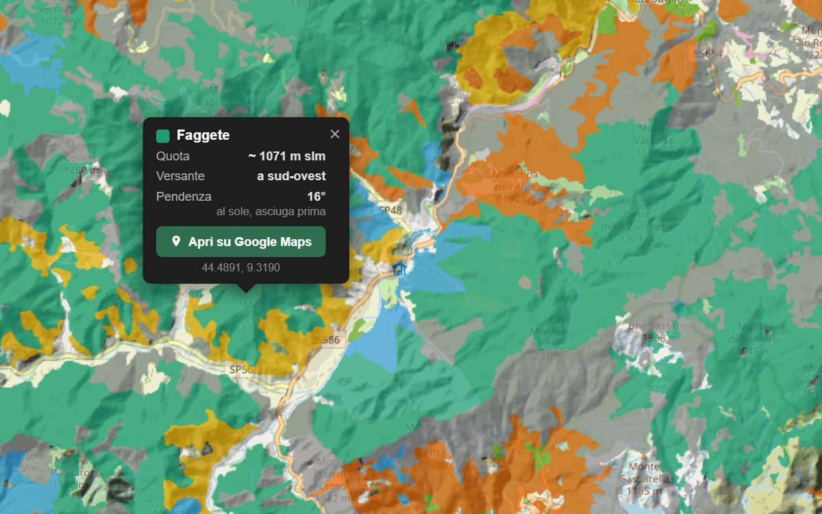 La mappa forestale della Val d'Aveto da vicino, con la nuvoletta di un bosco