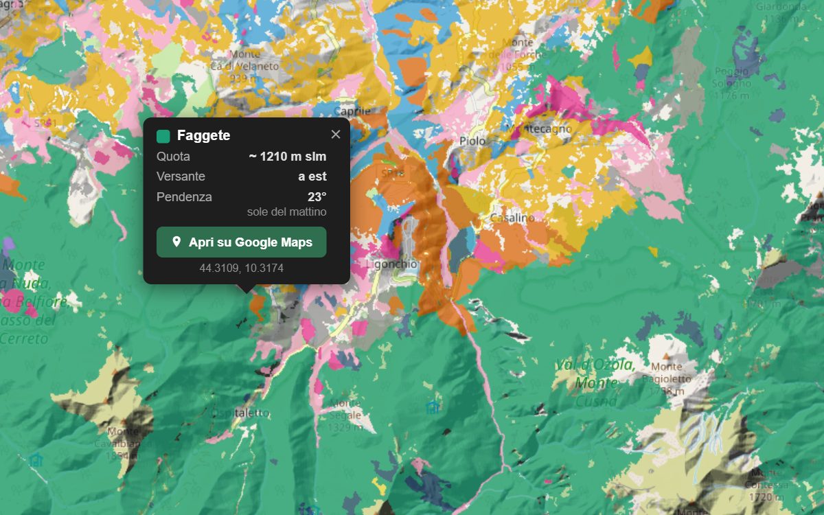 La mappa forestale della Val d'Enza da vicino, con la nuvoletta di un bosco