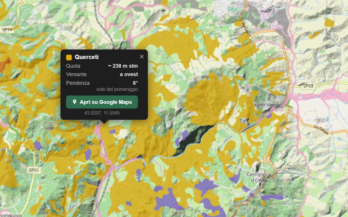 La mappa forestale della Val d'Orcia da vicino, con la nuvoletta di un bosco
