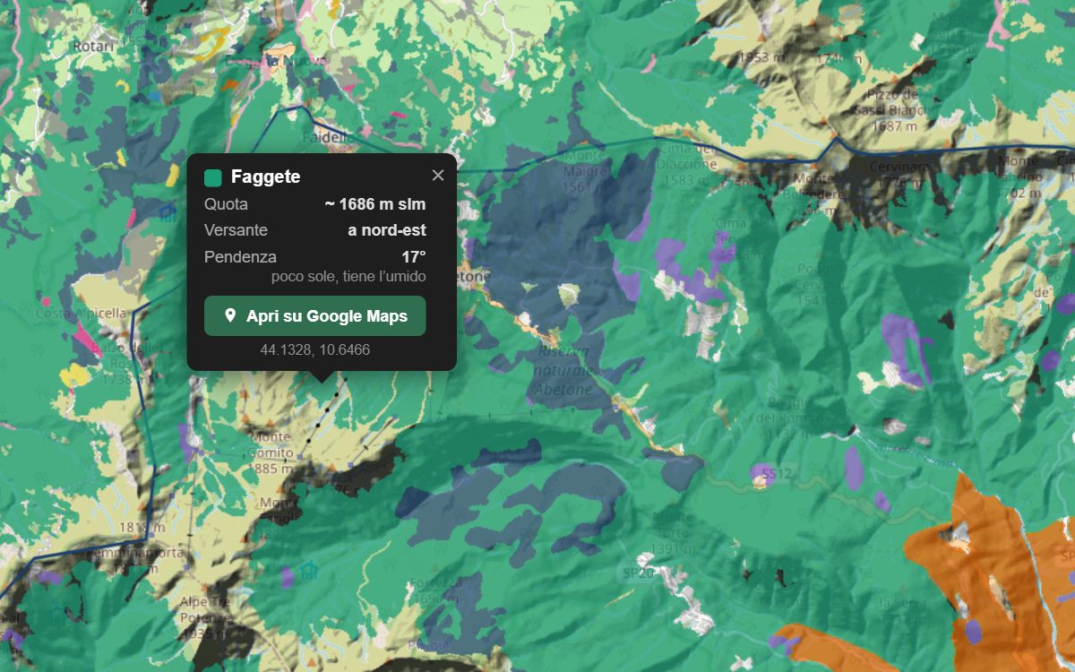 La mappa forestale della Val di Luce da vicino, con la nuvoletta di un bosco