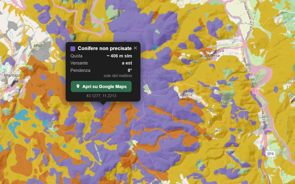 La mappa forestale della Val di Merse da vicino, con la nuvoletta di un bosco