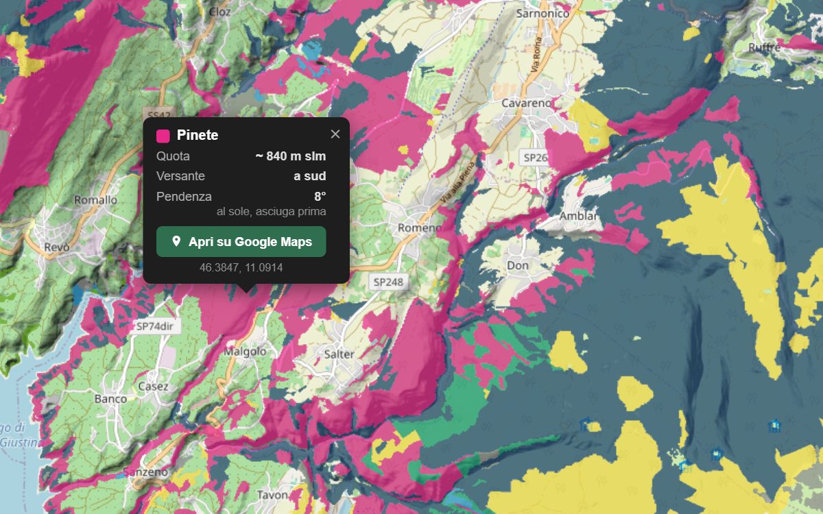 La mappa forestale della Val di Non da vicino, con la nuvoletta di un bosco