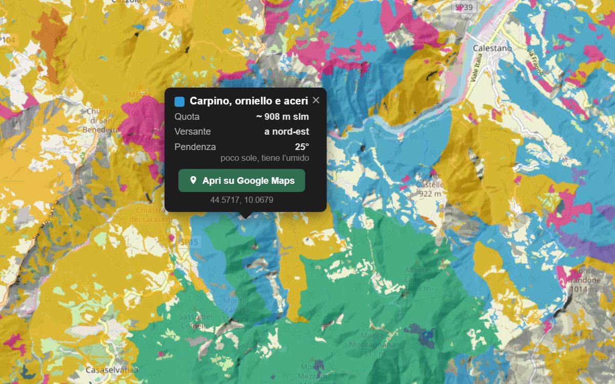 La mappa forestale della Val di Taro da vicino, con la nuvoletta di un bosco