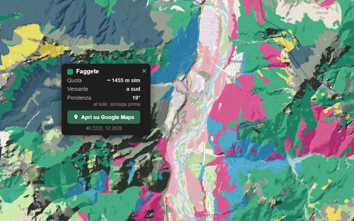 La mappa forestale della Val Gallina da vicino, con la nuvoletta di un bosco