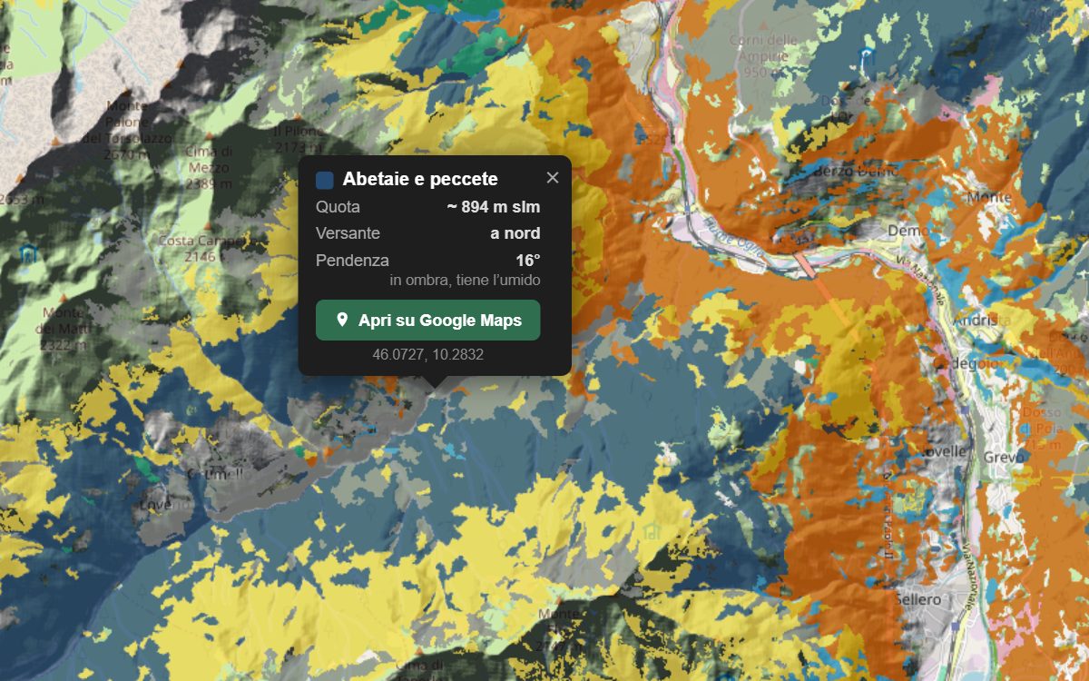 La mappa forestale della Val Paisco da vicino, con la nuvoletta di un bosco