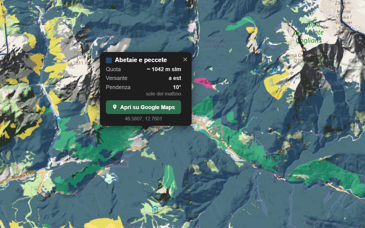 La mappa forestale della Val Pesarina da vicino, con la nuvoletta di un bosco