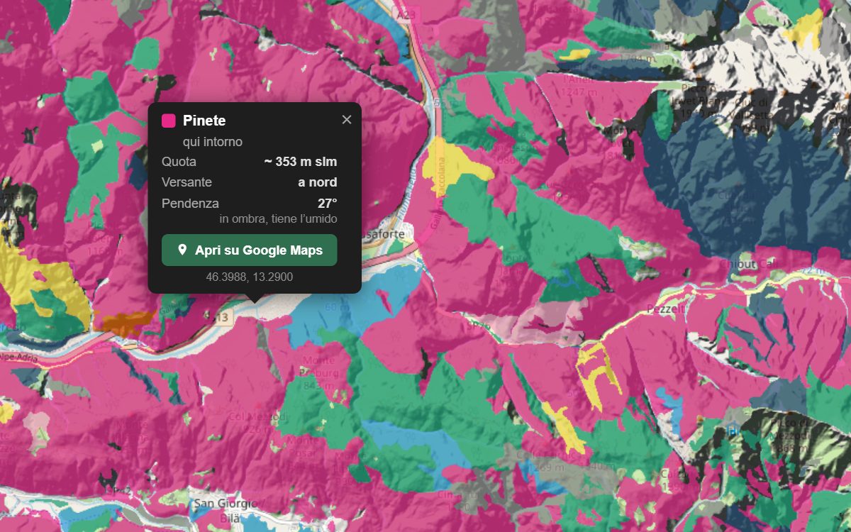 La mappa forestale della Val Resia da vicino, con la nuvoletta di un bosco