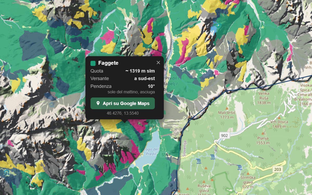 La mappa forestale della Val Rio del Lago da vicino, con la nuvoletta di un bosco