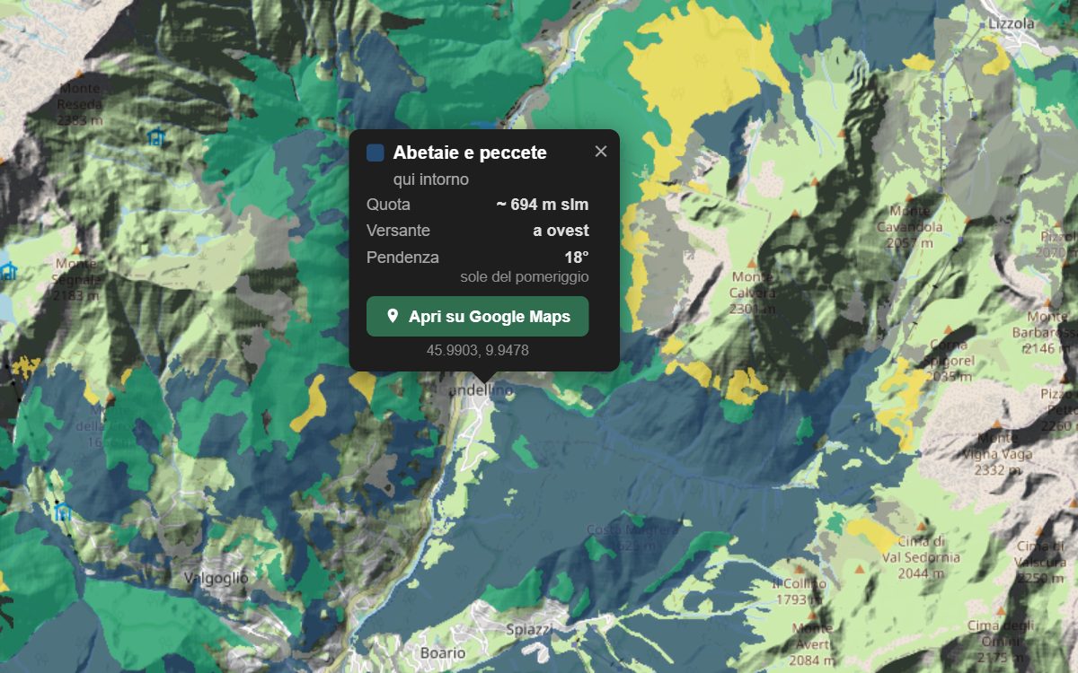 La mappa forestale della Val Sedornia da vicino, con la nuvoletta di un bosco