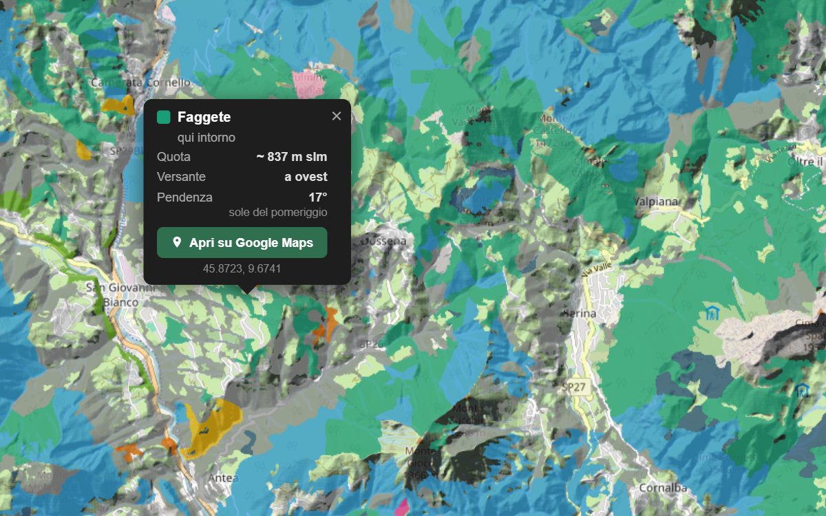 La mappa forestale della Val Serina da vicino, con la nuvoletta di un bosco