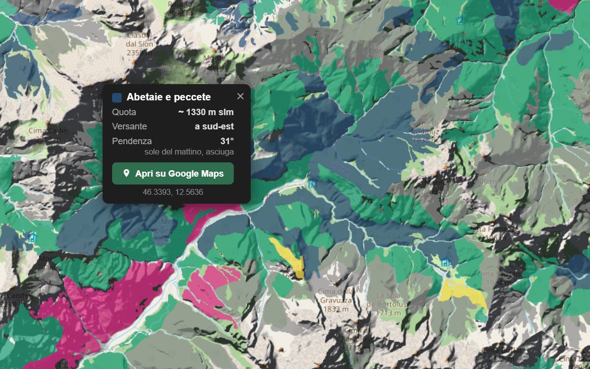 La mappa forestale della Val Settimana da vicino, con la nuvoletta di un bosco