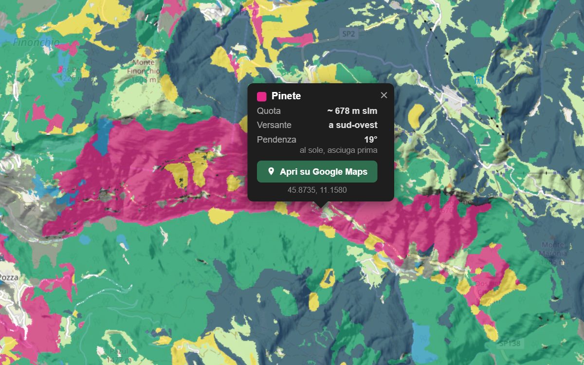 La mappa forestale della Val Terragnolo da vicino, con la nuvoletta di un bosco