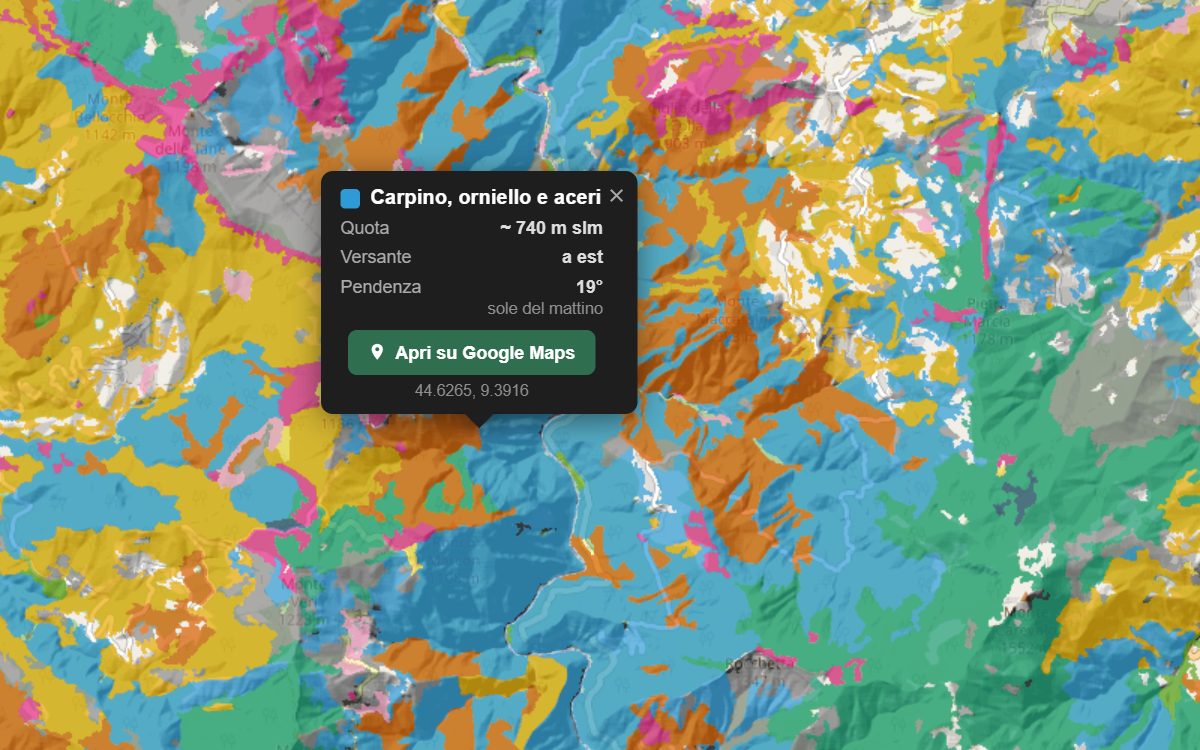 La mappa forestale della Val Trebbia da vicino, con la nuvoletta di un bosco