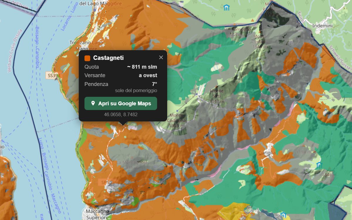 La mappa forestale della Val Veddasca da vicino, con la nuvoletta di un bosco
